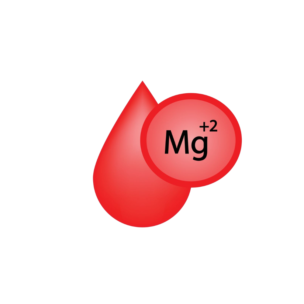 Magnesium Bisglycinate
