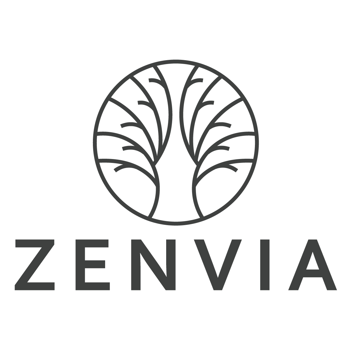 Zenvia Logo
